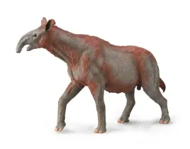 paraceratherium-collecta