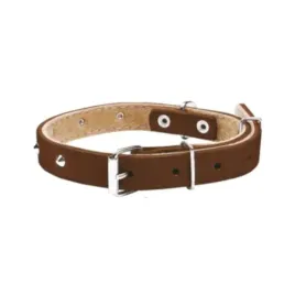 chaba-skorzana-obroza-dla-psa-brazowa-cwiekowana-szerokosc-20mm-obwod-55cm