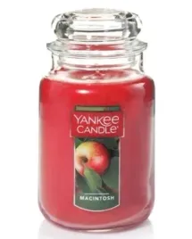 yankee-candle-large-jar-macintosh-623g