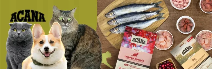 acana-first-feast-cat-1-8kg-rodzaj-karmy-bezzbozowa