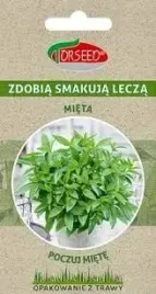 mieta-poczuj-miete-nasiona-do-wysiewu-torseed
