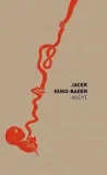 audyt-jacek-hugo-bader