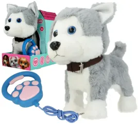 piesek-husky-na-smyczy-zdalnie-sterowany-chodzi-reaguje-na-dzwiek-i-dotyk