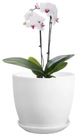 doniczka-ceramiczna-z-podstawka-na-kwiaty-ozdobna-16-cm-biala