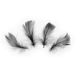 piora-dekoracyjne-czarne-male-ozdobne-diy-50szt