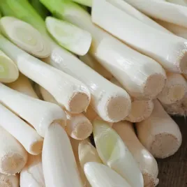 por-october-pozny-nasiona-pora-warzyw-plenny