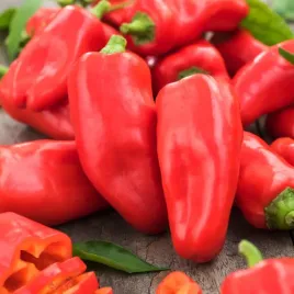 papryka-slodka-czerwona-mercedes-ksztalt-stozkowy-nasiona-papryki-warzyw