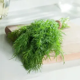 koper-ogrodowy-amat-sr-wczesny-nasiona-kopru-warzyw-plenna-odporna