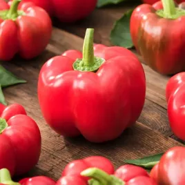 papryka-slodka-czerwona-gloria-sredniowczesna-typu-blok-nasiona-papryki