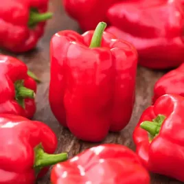 papryka-slodka-czerwona-balladyna-tunel-grunt-lekko-wydluzony-block-nasiona