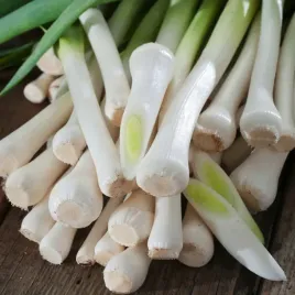 por-juhas-na-pozny-zbior-bardzo-plenny-nasiona