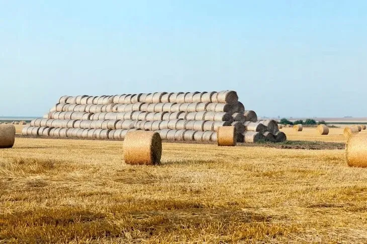 siatka-rolnicza-do-beli-slomy-siana-baler-net-123x2000m-123cm-do-balotow-cechy-dodatkowe-odpornosc-na-promieniowanie-uv