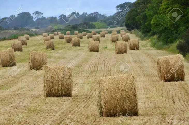 siatka-rolnicza-do-beli-slomy-siana-baler-net-123x2000m-123cm-do-balotow-kod-producenta-balotowania-tama-john-deere-netzwerk