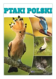 ptaki-polski-album-twarda-oprawa-32-strony-ksiazka