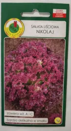 salata-lollo-nikolaj-nasiona-warzyw