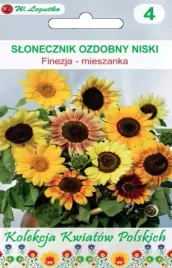 kwiaty-polskie-slonecznik-ozdobny-finezja-mieszanka-nasiona-kwiatow