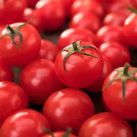 pomidor-wysoki-drobnoowocowy-pokusa-czerwony-nasiona-pomidorow-pomidory
