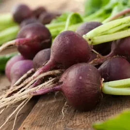 rzodkiewka-malaga-fioletowa-kulista-nasiona-plenne