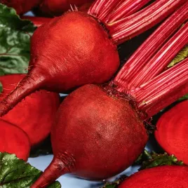 burak-cwiklowy-nochowski-ciemnowisniowy-plenny-buraki-nasiona