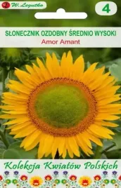 kwiaty-polskie-slonecznik-ozdobny-amor-amant-zolte-nasiona-kwiatow