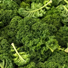 jarmuz-kadet-sr-pozny-wysoki-zielony-nasiona