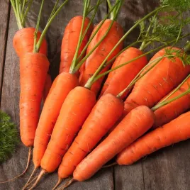 marchew-nantejska-polana-sredniopozna-nasiona