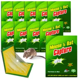 10x-pulapka-na-myszy-szczury-myszolapka-silny-klej-lep-aromat-mocna-lapka