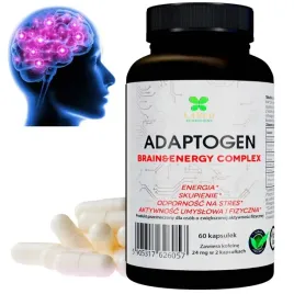 adaptogen-na-skupienie-pamiec-i-koncentracje