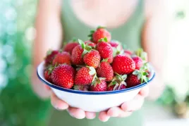 hit-najslodsza-truskawka-murzynka-senga-sengana-10-szt-sadzonek