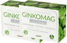 2-x-xenico-ginkomag-plus-120-kaps-milorzab-japonski-krazenie-krwi-w-mozgu