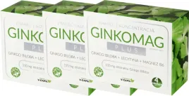3-x-xenico-ginkomag-plus-120-kaps-flawonoglikozydy-lecytyna-sojowa-b6