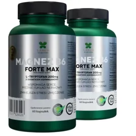 2x-magnez-b6-forte-max-250mg-mocne-dzialanie-120k