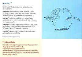 nemycel-50mln-nicienie-zwalcza-ziemiorki-do-50m2