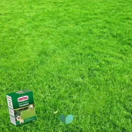 substral-nawoz-do-trawy-100-dni-1-kg