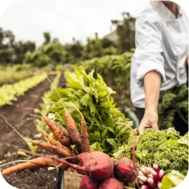 fruktovit-plus-nawoz-uniwersalny-granulowany-ogrodniczy-5kg-zdrowe-rosliny