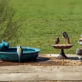 dekoracja-poidelko-dla-ptakow-ogrodowe-wanienka