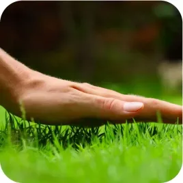 nawoz-do-trawnikow-trawy-trawnika-5kg-fruktovit-intensywne-zageszczajacy