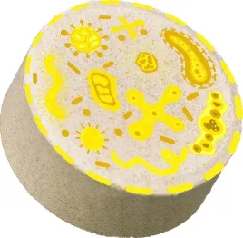 tabletki-do-szamba-bakterie-do-oczyszczalni-ekologicznej-preparat-do-szamb