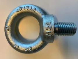 sruba-z-uchem-oczkowa-m24