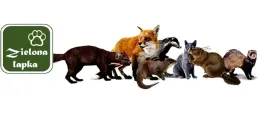 mocny-odstraszacz-ultradzwiekowy-na-zwierzeta