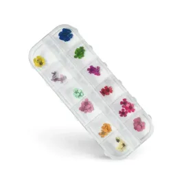 silcare-box-suszone-kwiatki-do-zdobien-paznokci-nail-art-12-kolorow