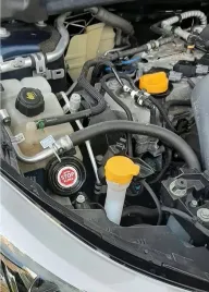 najlepszy-odstraszacz-na-kuny-do-samochodu-pomaga