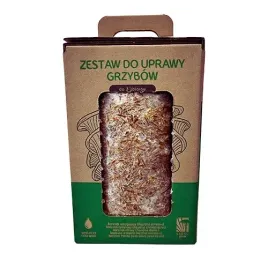 boczniak-ostrygowaty-mushrooms-grow-kit-wlasna-uprawa-w-domu