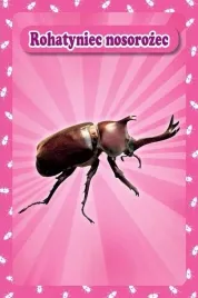 karty-popup-3d-owady