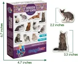 magnesy-rasy-kotow-stan-nowy