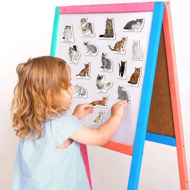 magnesy-rasy-kotow-szerokosc-produktu-5-cm