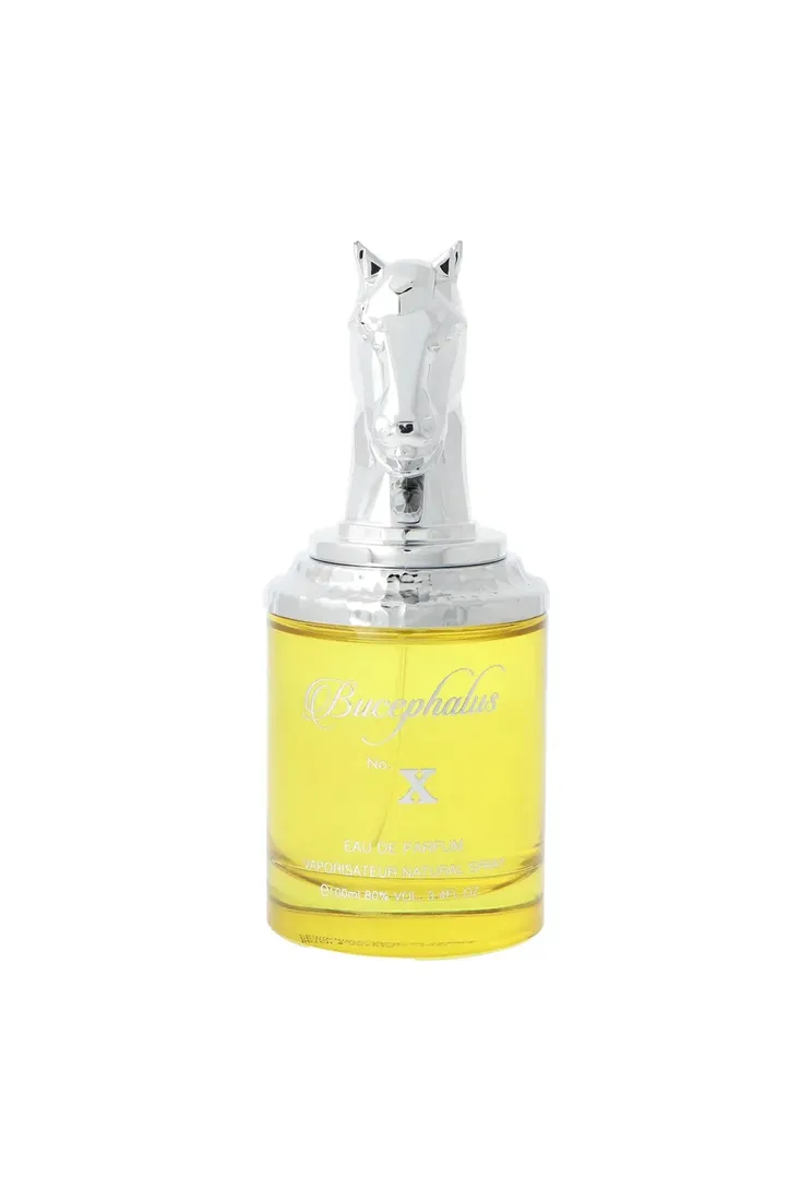 armaf-bucephalus-x-edp-100ml