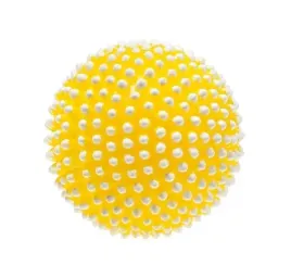 pilka-jez-dla-psa-81cm-mix