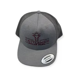 czapka-z-daszkiem-team-365