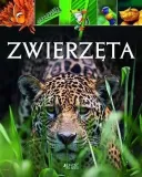 zwierzeta